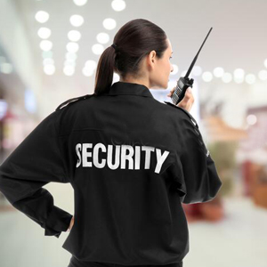 Consultoria en Seguridad y Vigilancia
